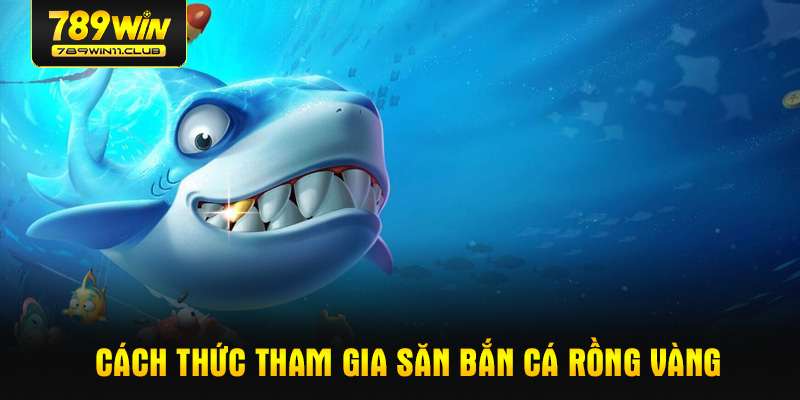Cách thức tham gia săn bắn cá rồng vàng