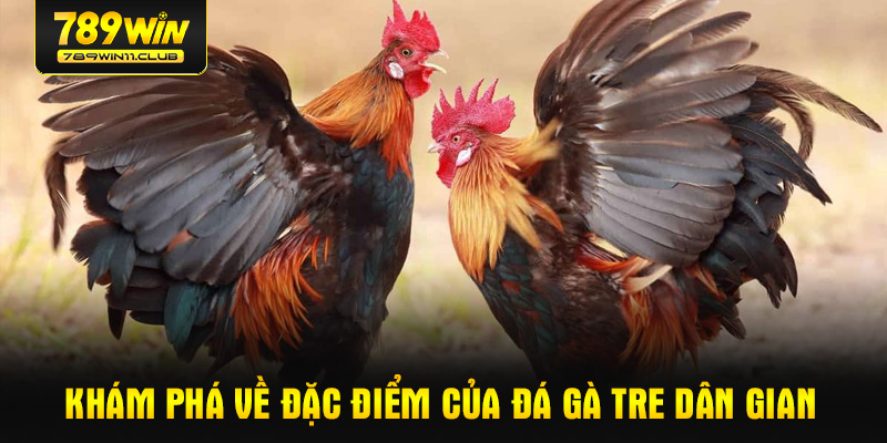 Khám phá về đặc điểm của đá gà tre dân gian